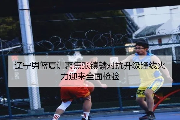 辽宁男篮夏训聚焦张镇麟对抗升级锋线火力迎来全面检验（bet365）