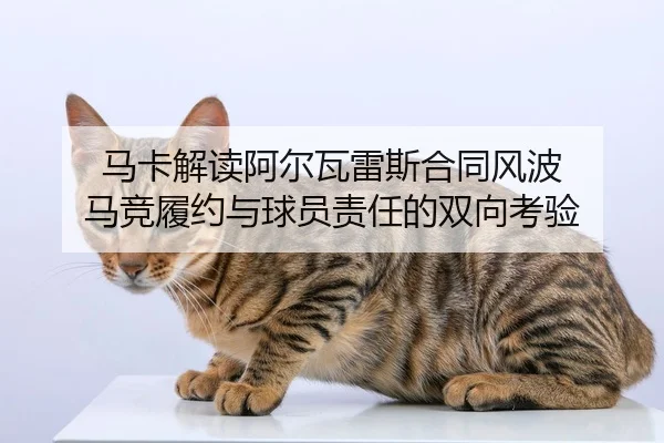 马卡解读阿尔瓦雷斯合同风波 马竞履约与球员责任的双向考验（bet365）